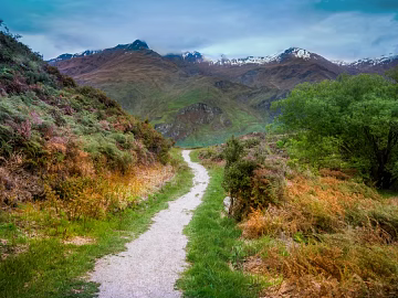 Wild Scenery texture (ID:ffaeg87707)