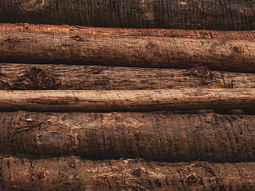 Wooden panel texture (ID:ffagg84438)