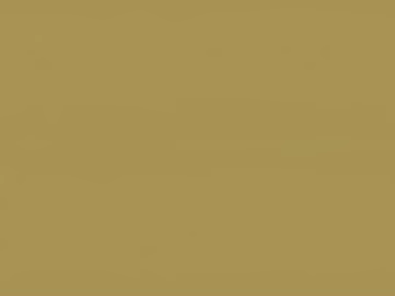 Brownish-cream latex paint, wall coating texture (ID:ffaeh709466)