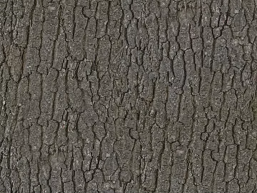 bark texture (ID:ffacg29378)