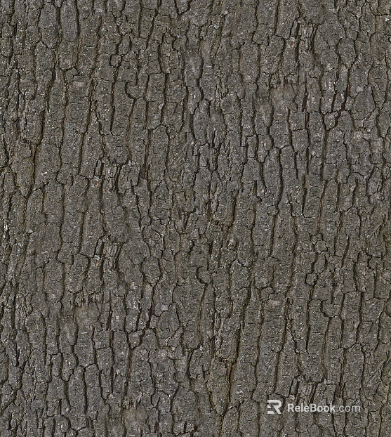 bark texture