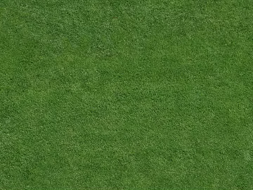 Turf texture (ID:ffaeg38893)