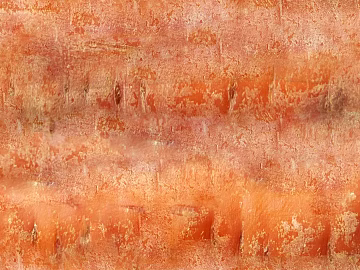 Orange carrot skin texture 3d model