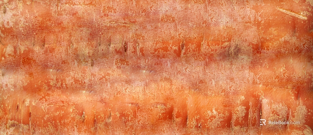 Orange carrot skin texture texture