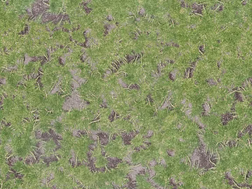 Turf ground texture (ID:ffaaf7514)