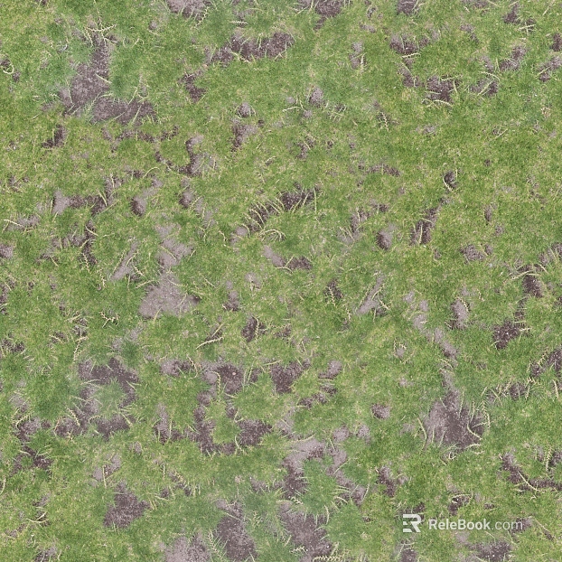 Turf ground texture