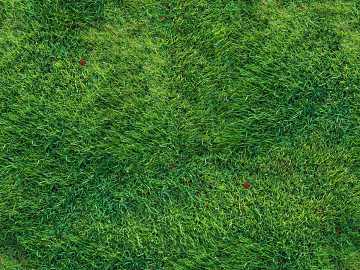 Realistic textured grassland, grassy slope, and green space—texture and grain. (ID:ffaeh450482)