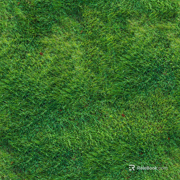 Realistic textured grassland, grassy slope, and green space—texture and grain. texture