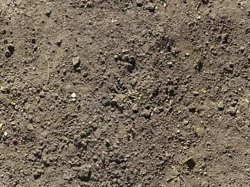 Mud texture (ID:ffacg30331)