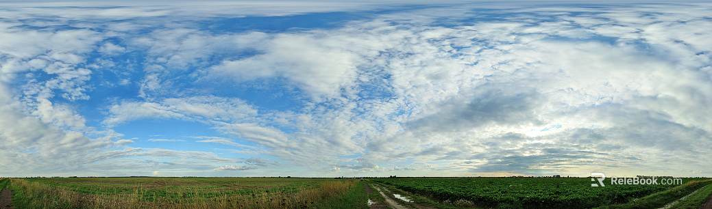 daytime sky texture