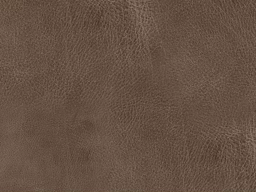 Coarse-grain leather texture (ID:ffabg72298)
