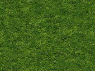 Turf 3d model