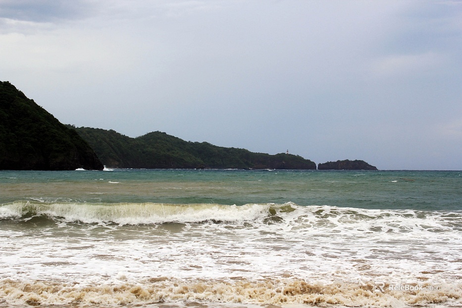 Wild Scenery texture