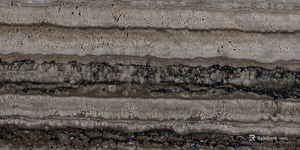 Dongshi texture