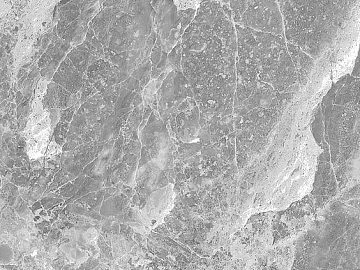 mesh pattern marble texture (ID:ffadf4449)