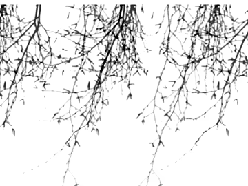 Black and White Tree Shadow Decoration Map 3d model