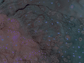 abstract painting texture (ID:ffabg76400)