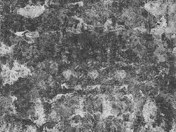 Black and White Bump texture (ID:ffach248186)