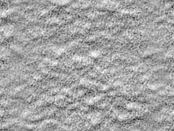 Black and White Bump texture (ID:ffaeg47421)