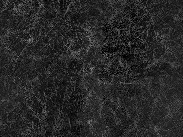 Black and white leather texture (ID:ffajf6838)