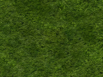 Turf 3d model