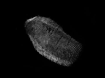 Fingerprint texture (ID:ffagg10374)