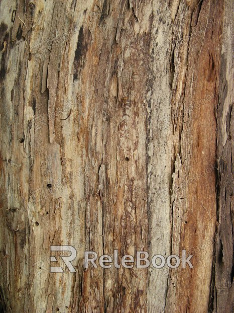 bark texture