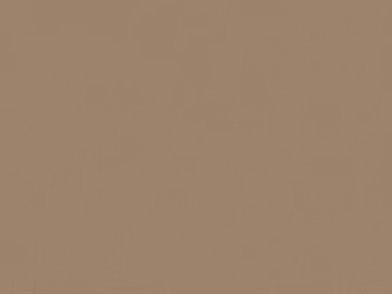 fine grain leather texture (ID:ffaeg06624)