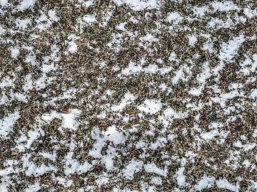 White Ice Ice Block Snow Soil Grass Lawn Grass Ground texture (ID:ffach825511)