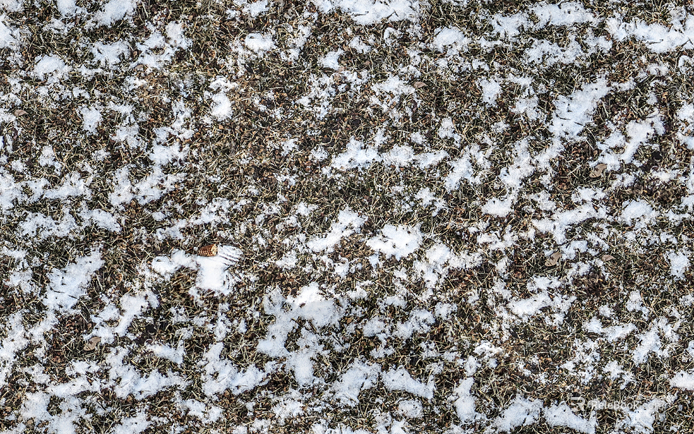 White Ice Ice Block Snow Soil Grass Lawn Grass Ground texture