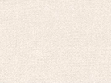 plain cloth texture (ID:ffaag99988)