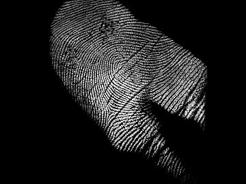 Fingerprint texture (ID:ffagg66374)