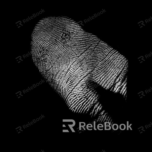 Fingerprint texture