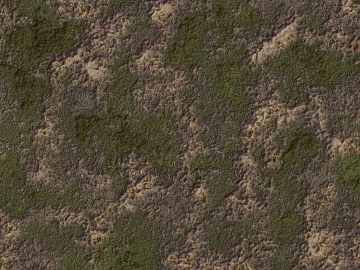 moss texture (ID:ffaeg39671)