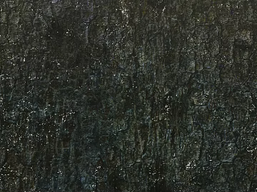 bark texture (ID:ffaeg13067)