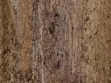 bark texture (ID:ffajg29035)