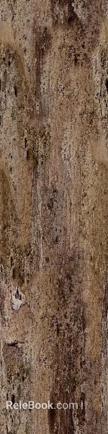 bark texture