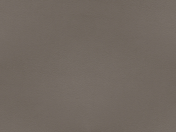 fine grain leather texture (ID:ffabg55119)