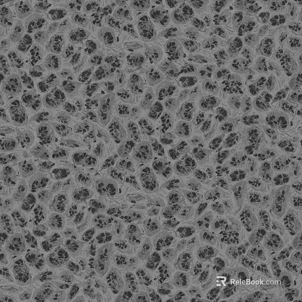 Black and White Bump texture