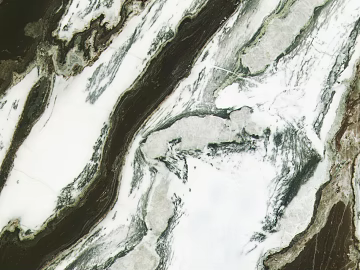 marble panda white texture (ID:ffajh480477)