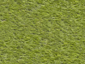 Turf texture (ID:ffagg53367)