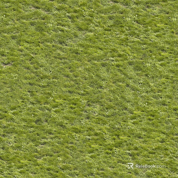 Turf texture
