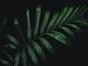 Plant painting texture (ID:ffagg31798)