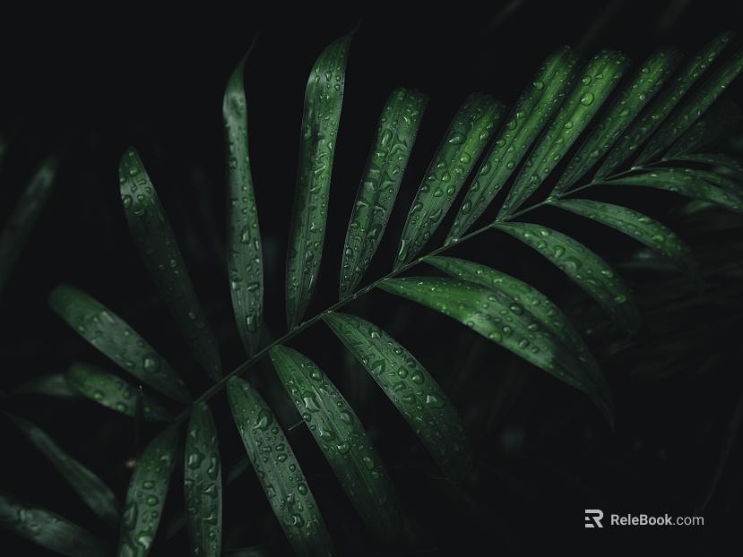 Plant painting texture