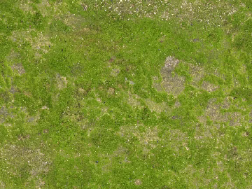 Turf ground texture (ID:ffaaf8560)