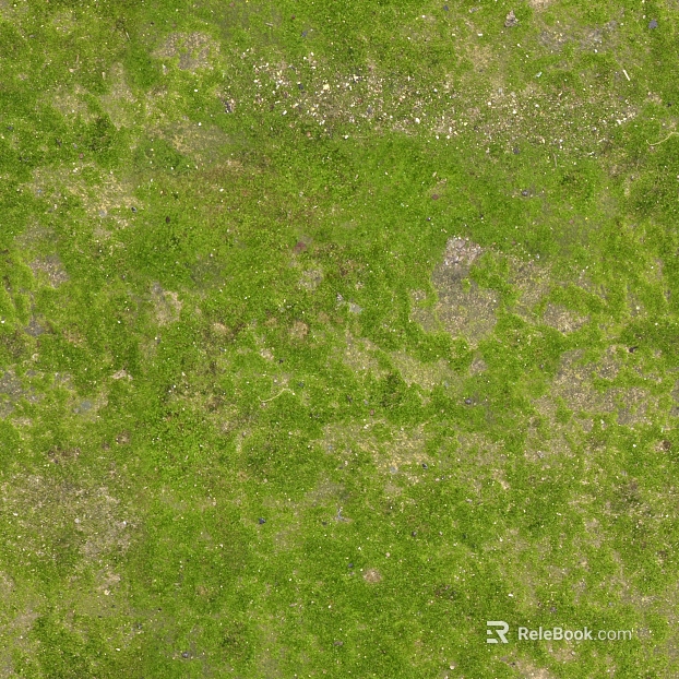 Turf ground texture