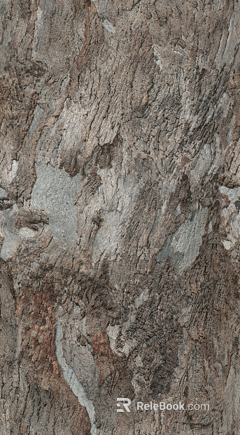 bark texture