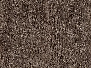 bark texture (ID:ffacg40882)