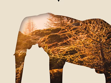 decorative painting texture (ID:ffaeg12121)