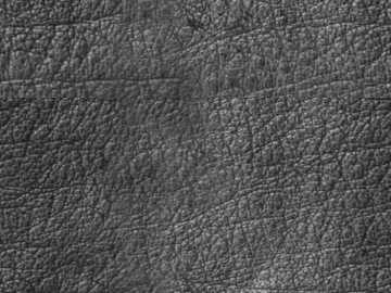 Coarse-grain leather 3d model